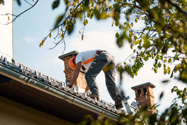 Best Commercial Roof Installation  in Sherwood, WI