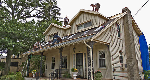 Best Roof Repair Services  in Sherwood, WI