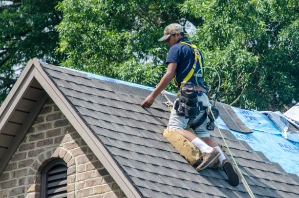 Professional Roofing Contractor in Sherwood, WI